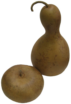 MEDIUM GOURD