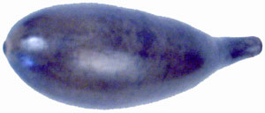 angelus blue dye