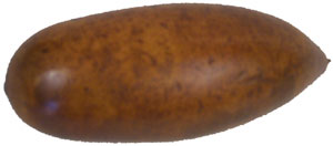 angelus light brown