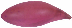 ANGELUS LEATHER DYE - Light Rose