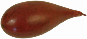 ANGELUS LEATHER DYE - Oxblood