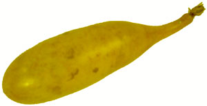 ANGELUS LEATHER DYE - Yellow