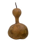 Indonesian Gourd