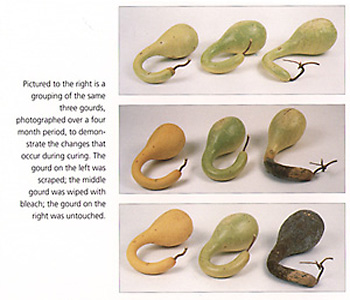 Book of Gourd Craft California.